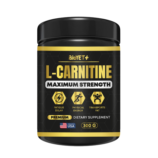 L-Carnitina 100 % puro