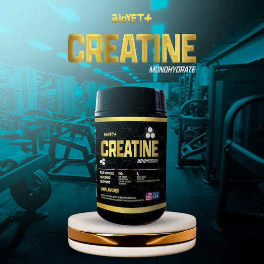 Creatina Monohidratada 100 % pura